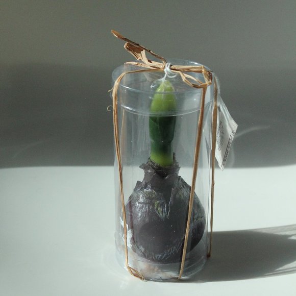 [D&T] "Rosemary & Time" Realistic Flower Bulb Candle - Picture 3 of 9